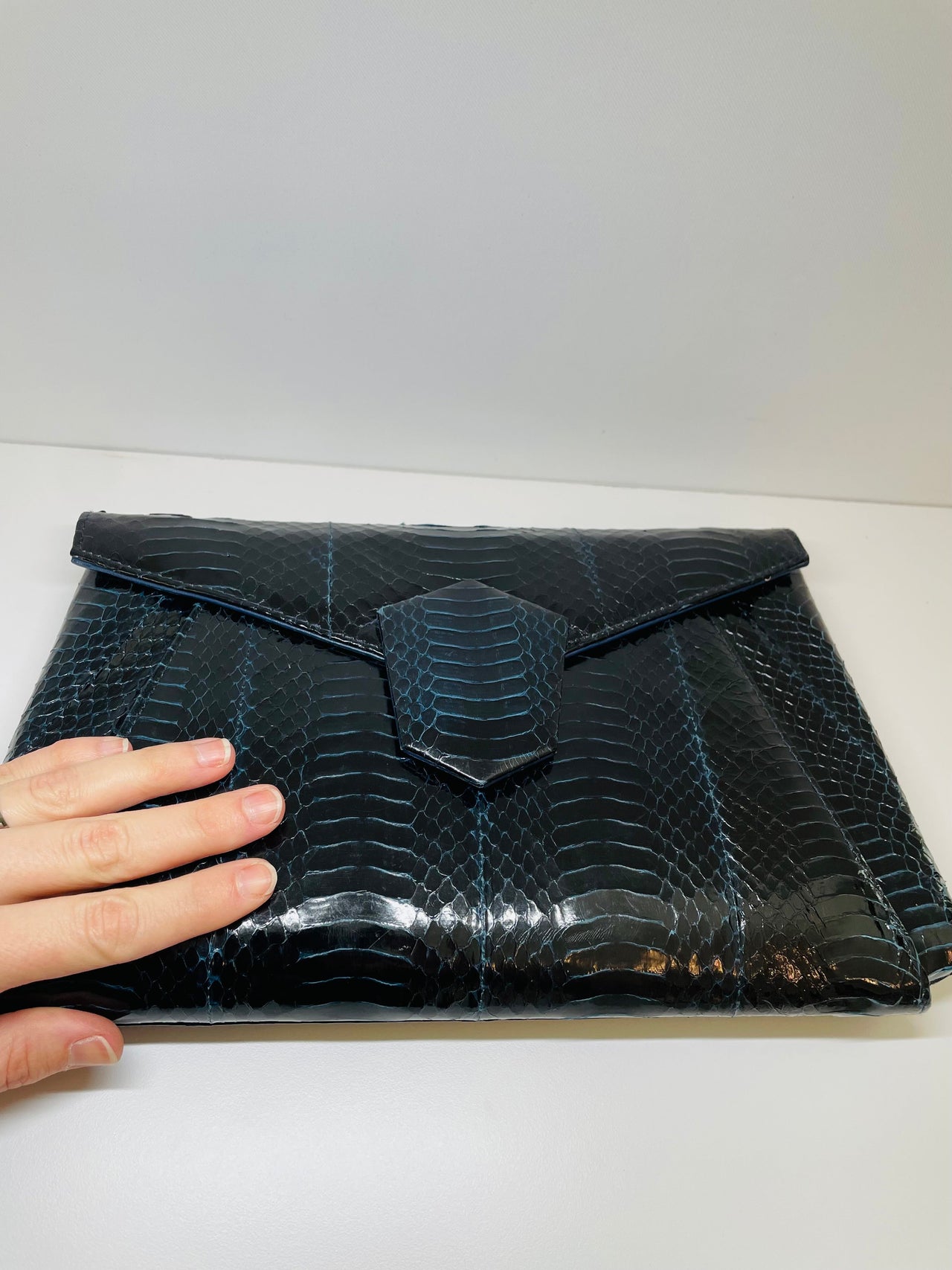 Black and Blue Snakeskin Purse from Sutton Plaza Devil's Details 