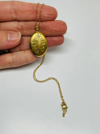 Thumbnail for Gold Filled Oval Locket Devil's Details 