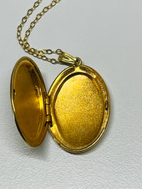 Thumbnail for Gold Filled Oval Locket Devil's Details 