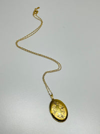 Thumbnail for Gold Filled Oval Locket Devil's Details 